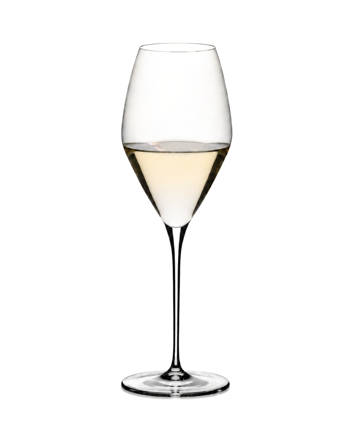 Sauvignon Blanc glass